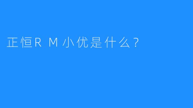 正恒RM小优是什么？