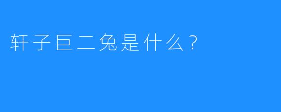 轩子巨二兔是什么？