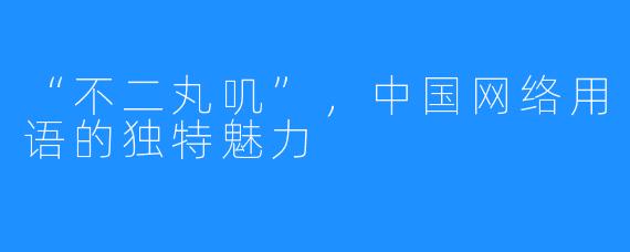 “不二丸叽”,中国网络用语的独特魅力
