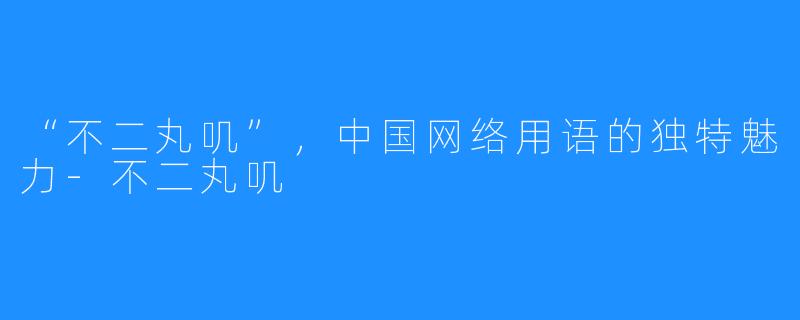 “不二丸叽”,中国网络用语的独特魅力-不二丸叽