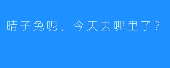 晴子兔呢，今天去哪里了？