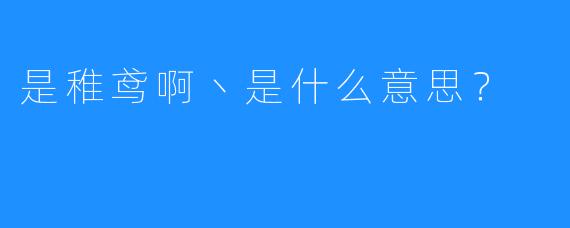 是稚鸢啊丶是什么意思？