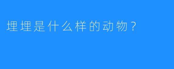 埋埋是什么样的动物？
