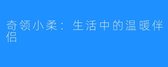 奇领小柔：生活中的温暖伴侣