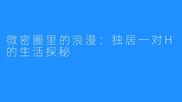 微密圈里的浪漫:独居一对H的生活探秘