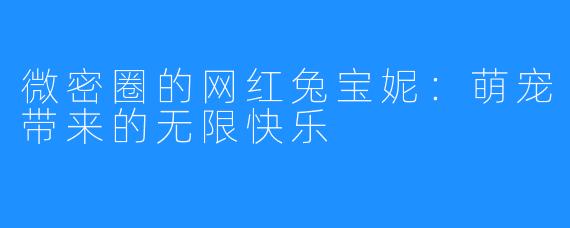 微密圈的网红兔宝妮：萌宠带来的无限快乐
