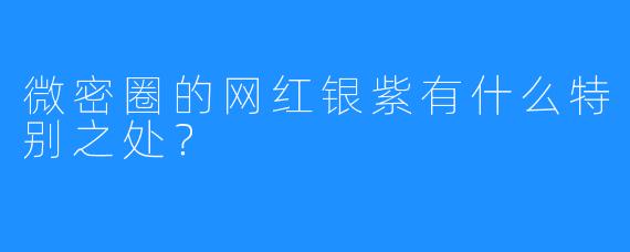 微密圈的网红银紫有什么特别之处？
