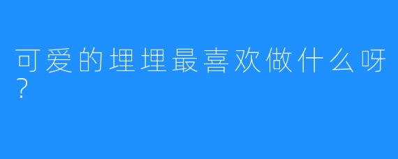可爱的埋埋最喜欢做什么呀？