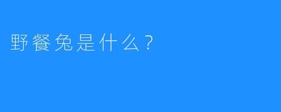 野餐兔是什么？