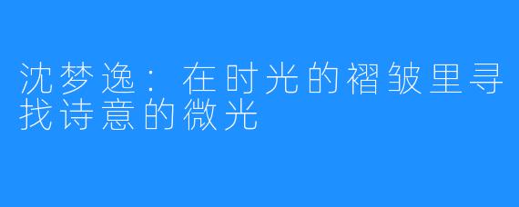 沈梦逸：在时光的褶皱里寻找诗意的微光