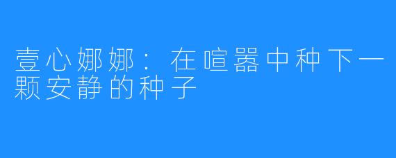 壹心娜娜:在喧嚣中种下一颗安静的种子