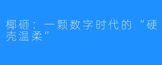 椰砸:一颗数字时代的“硬壳温柔”